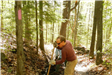 Trail Work at Hamlin