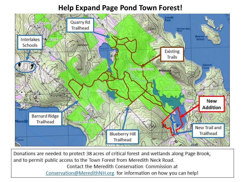 Map of Page Pond and Surrounding Area