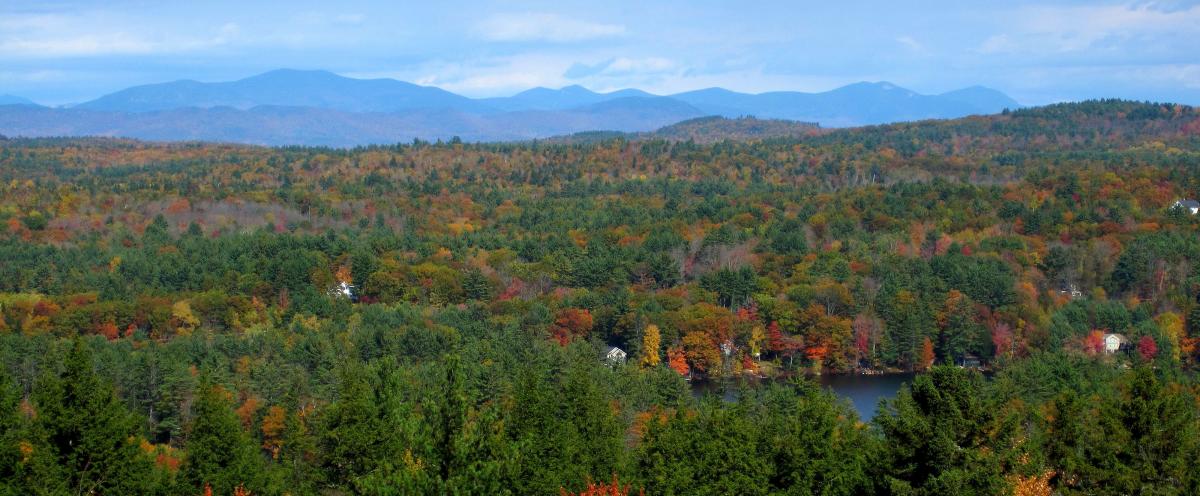 Conservation Commission Banner