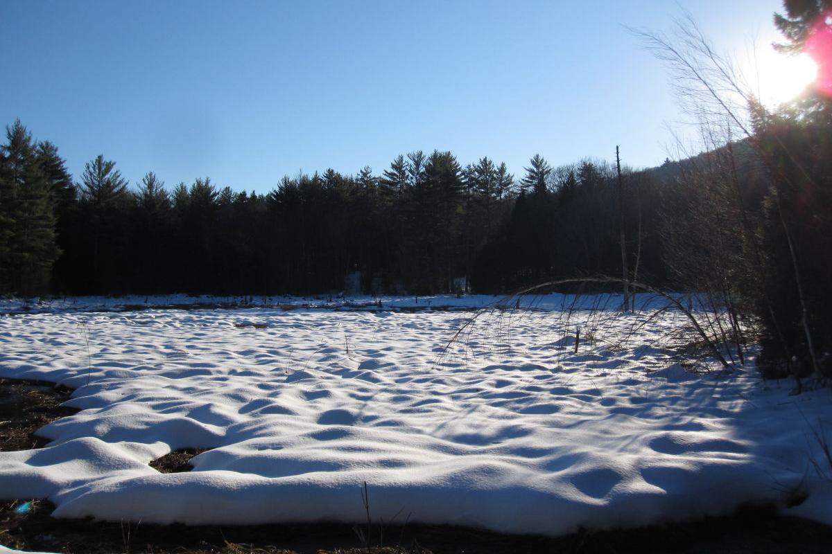 Beaver Meadow at Hamlin