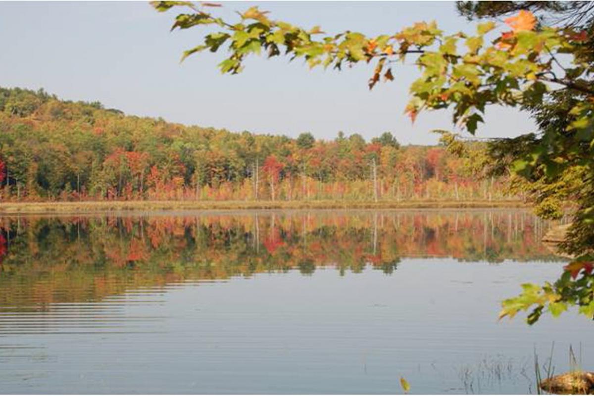 Page Pond in Autumn