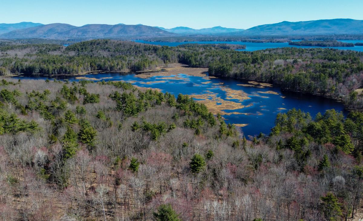 Page Pond - Meredith Ycas